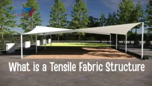 Read more about the article What is a Tensile Fabric Structure? Types, Material Properties & Price Overview
